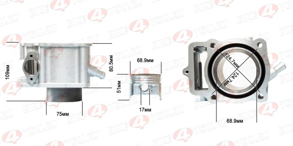 ЦПГ (поршневая) 169MM (CB250-A) (124,3/124,65/80,5/17), water, 2V,  ZS