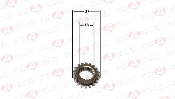 Шестерня коленвала (на маслонасос) 170MM-2 (CB250) water, 4V, ZS